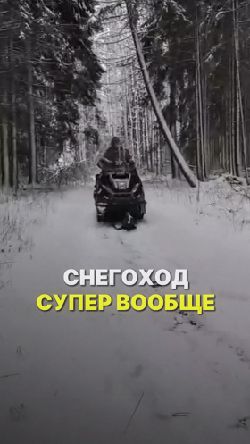 Покупкой снегохода доволен!