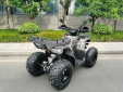 Квадроцикл MOTAX ATV Grizlik T200