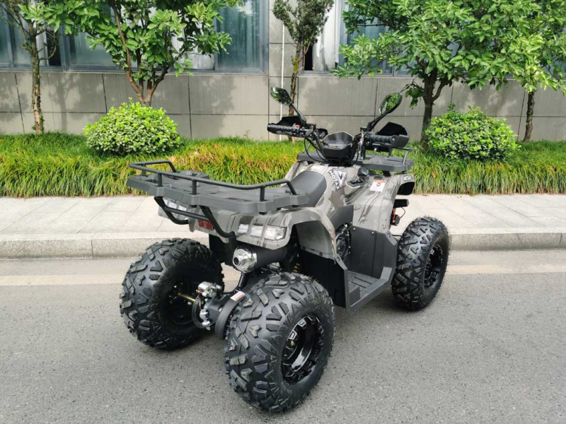 Квадроцикл MOTAX ATV Grizlik T200 LUX