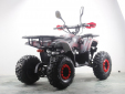 Квадроцикл Motax ATV Grizlik Super Lux 125 сс NEW