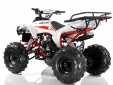 Квадроцикл Motax ATV Raptor LUX 125 сс