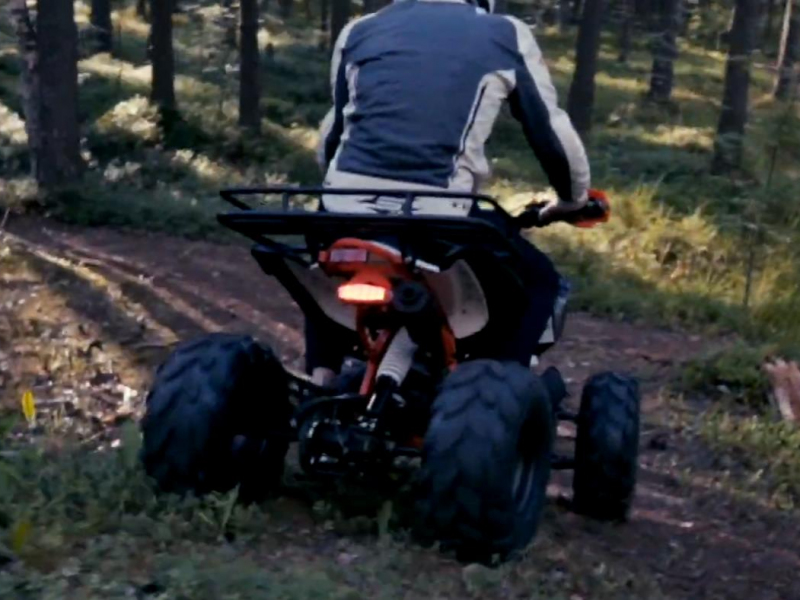 Квадроцикл Motax ATV T-Rex Super LUX 125