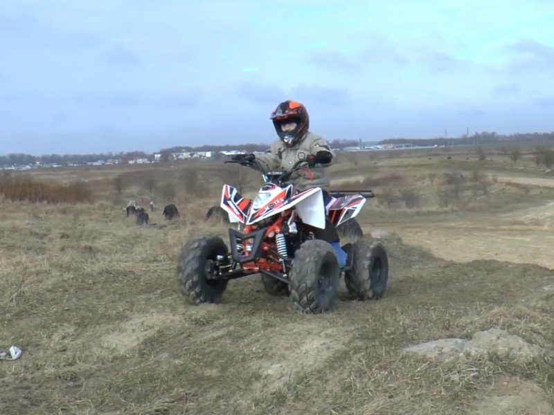 Квадроцикл Motax ATV T-Rex LUX 125