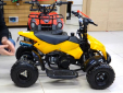 Квадроцикл Motax ATV Basic H4