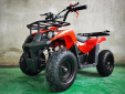 Квадроцикл Motax ATV Basic X16 e-start